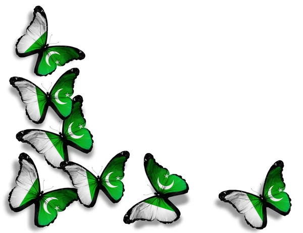 Mariposas de bandera paquistaní, aisladas sobre fondo blanco —  Fotos de Stock