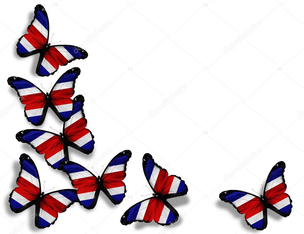 Costa Rica flag butterflies, isolated on white background