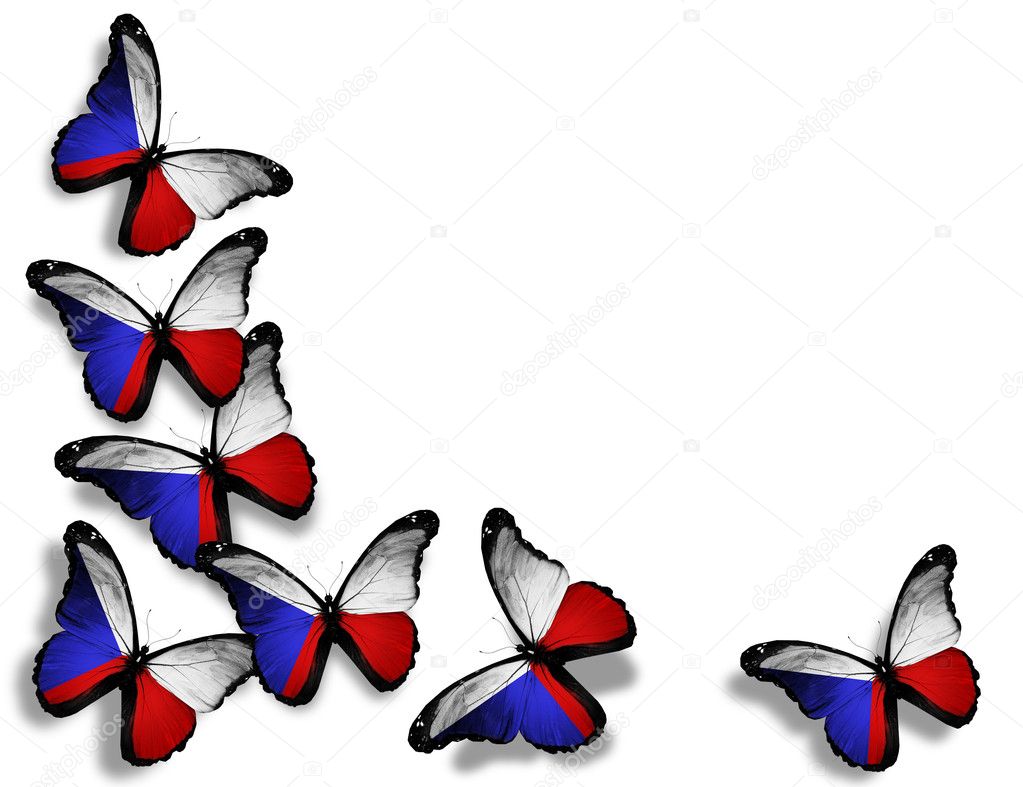Czech flag butterflies, isolated on white background