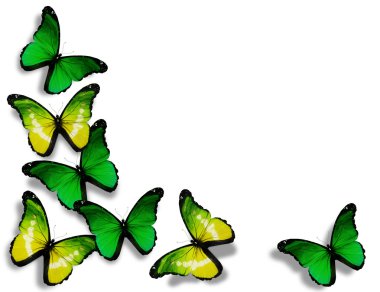 Green and yellow butterflies, isolated on white background clipart