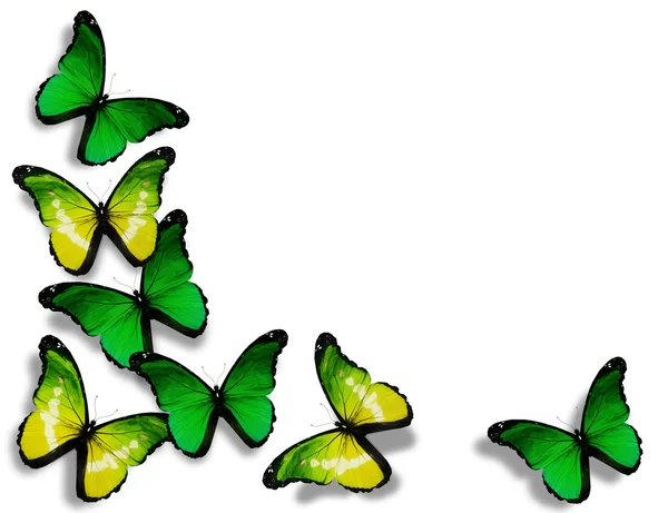 Зеленые и желтые бабочки, изолированные на белом фоне — стоковое фото