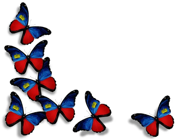 Lichtenštejnská vlajka motýly, izolovaných na bílém pozadí — Stock fotografie