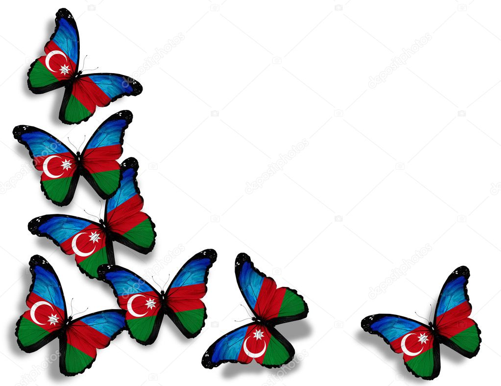 Azerbaijani flag butterflies, isolated on white background