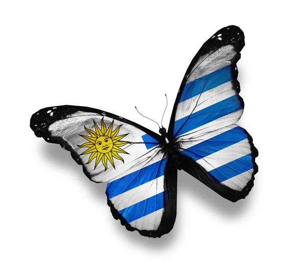 Uruguayanska flagga fjäril, isolerad på vit — Stockfoto