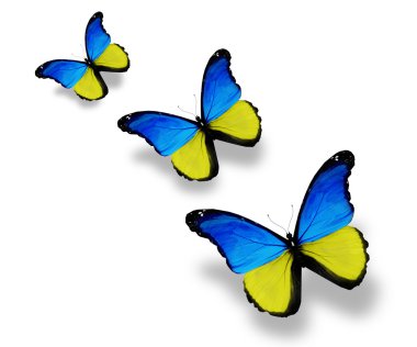 beyaz izole üç Ukraynalı bayrak kelebekler