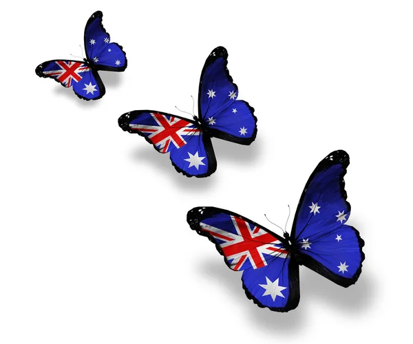 Tre australiska flaggan fjärilar, isolerad på vit — Stockfoto
