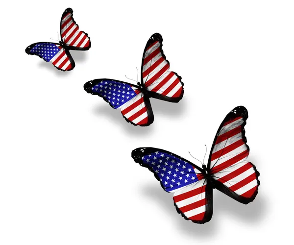 Drie Amerikaanse vlag vlinders, geïsoleerd op wit — Stockfoto