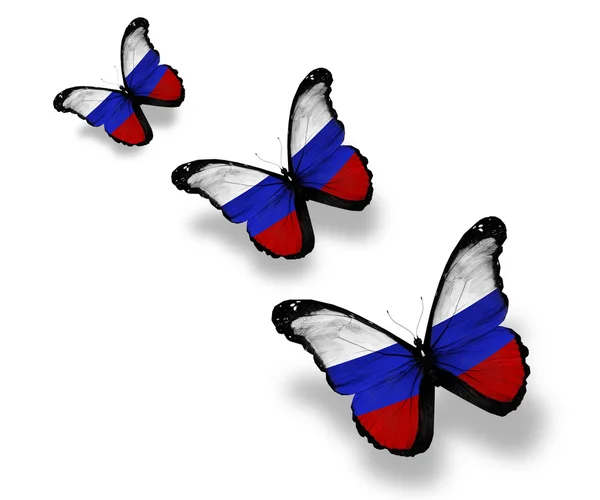 stock image Three Russian flag butterflies, isolated on white