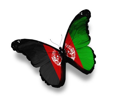 Afghani flag butterfly, isolated on white clipart
