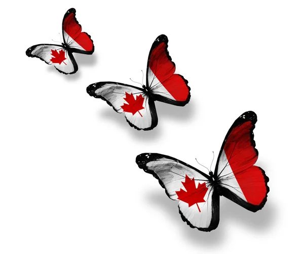 Trzy motyle kanadyjską flagę, na białym tle — Zdjęcie stockowe