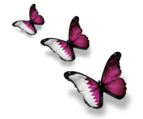 Three Qatari flag butterflies, isolated on white — Stock Photo, Image