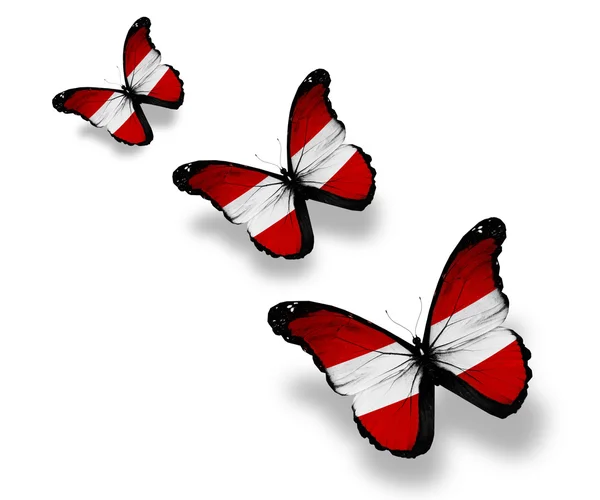 Three Austrian flag butterflies, isolated on white — Stock Photo, Image