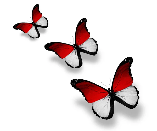 Three Monegasque flag butterflies, isolated on white — Stock Photo, Image
