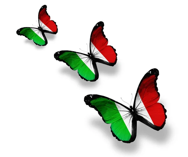 Trzy motyle włoskiej flagi, na białym tle — Zdjęcie stockowe