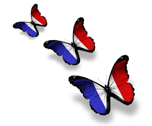 Tři francouzská vlajka motýly, izolované na bílém — Stock fotografie