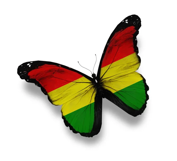 Bolivian flag butterfly, isolated on white — Stock Photo, Image