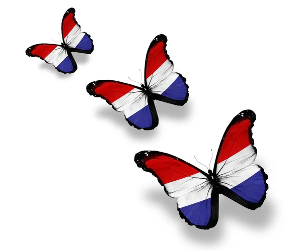Tre farfalle bandiera olandese, isolate su bianco — Foto Stock