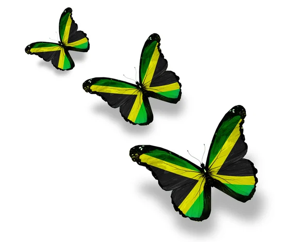 白で隔離され、3 つのジャマイカの旗蝶 — ストック写真