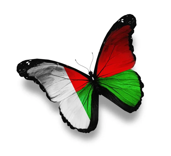 Madagaskar vlag vlinder, geïsoleerd op wit — Stockfoto