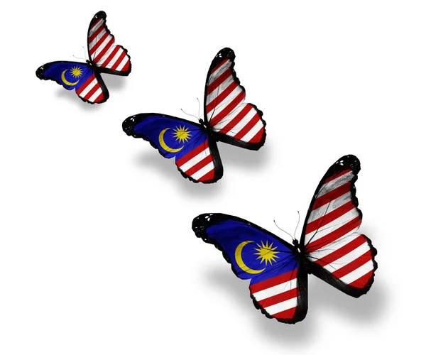 Τρεις Μαλαισίας σημαία πεταλούδες, που απομονώνονται σε λευκό — Φωτογραφία Αρχείου