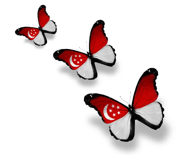 Trois papillons du drapeau singapourien, isolés sur du blanc — Photo