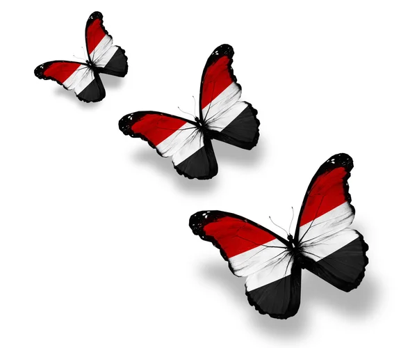 stock image Three Yemeni flag butterflies, isolated on white