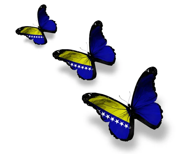 Three Bosnia Herzegovina flag butterflies, isolated on white — Stock Photo, Image