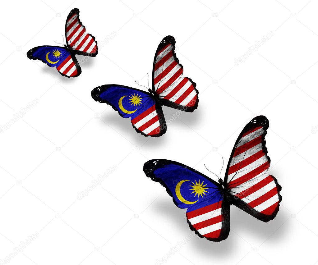 Three Malaysian flag butterflies, isolated on white