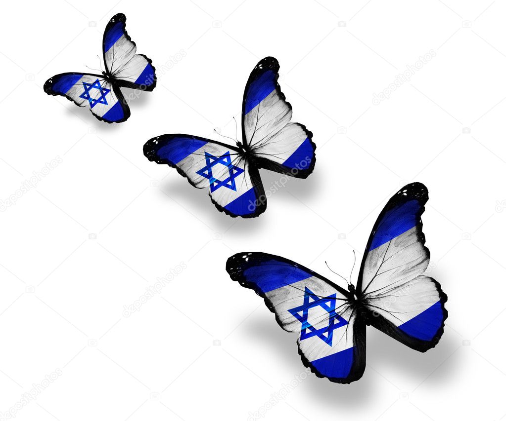 Three Israeli flag butterflies, isolated on white