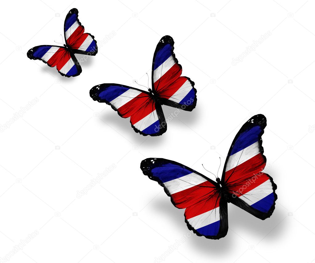 Three Costa Rica flag butterflies, isolated on white