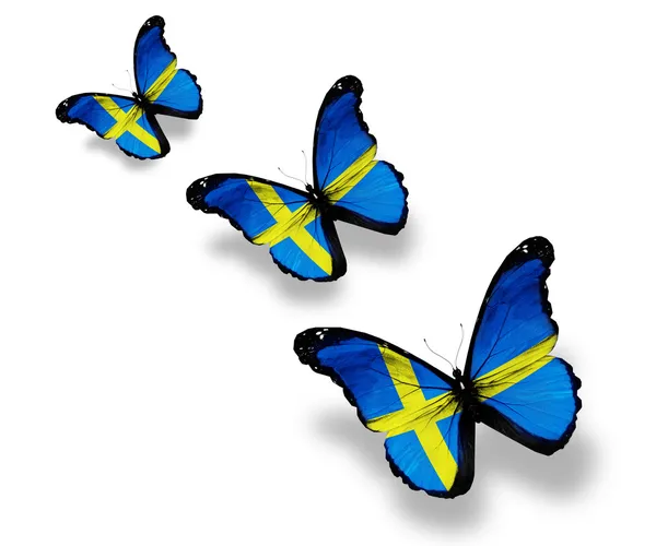 Tre farfalle bandiera svedese, isolate su bianco — Foto Stock