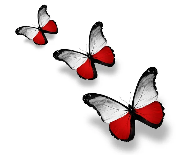 Três borboletas da bandeira polonesa, isoladas em branco — Fotografia de Stock