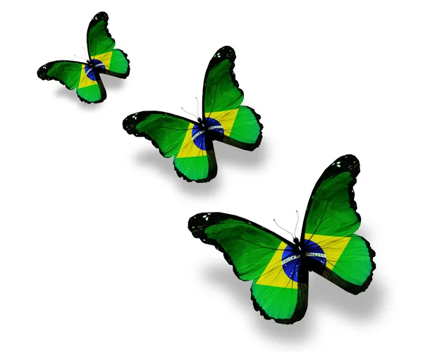 白で隔離され、3 つのブラジル国旗蝶 — ストック写真
