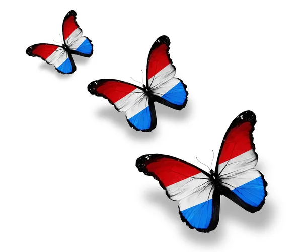 Tre farfalle bandiera lussemburghese, isolate su bianco — Foto Stock