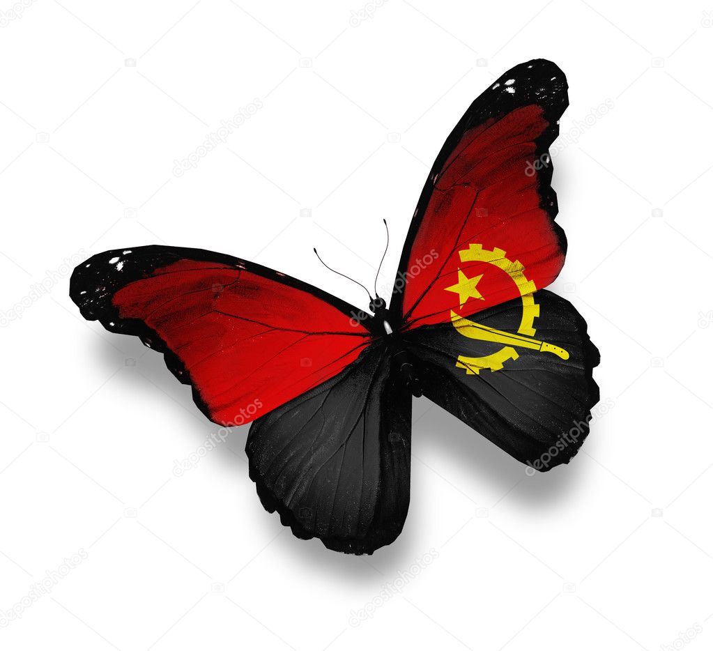 Angolan flag butterfly, isolated on white