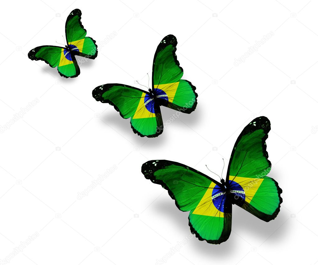 Three Brazilian flag butterflies, isolated on white