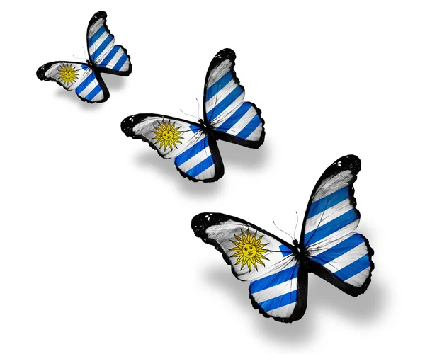 Tre farfalle bandiera uruguaiana, isolate su bianco — Foto Stock