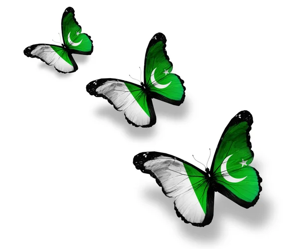 Trois papillons drapeau pakistanais, isolés sur blanc — Photo