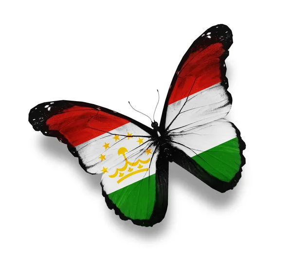 Papillon drapeau tadjik, isolé sur blanc — Photo
