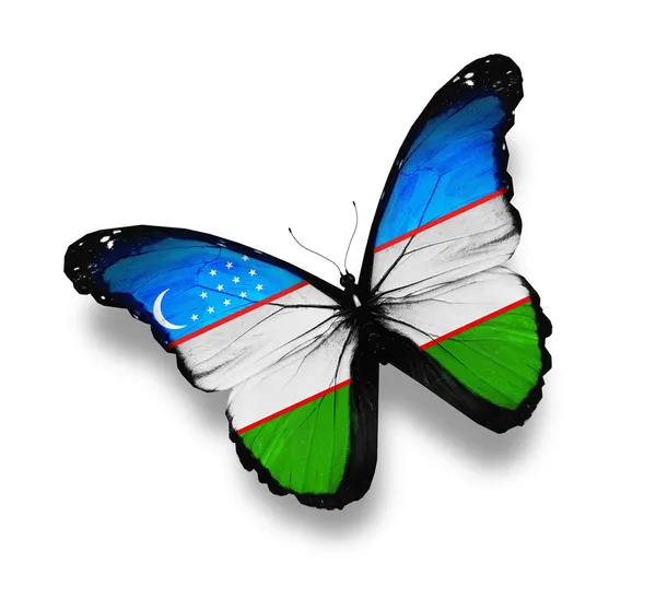 Mariposa de bandera uzbeka, aislada en blanco — Foto de Stock
