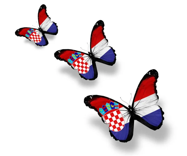 Trois papillons drapeau croate, isolés sur blanc — Photo