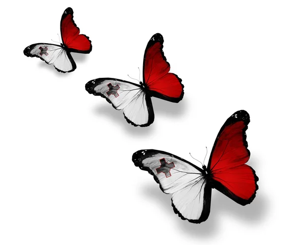 Three Maltese flag butterflies, isolated on white — Stock Photo, Image