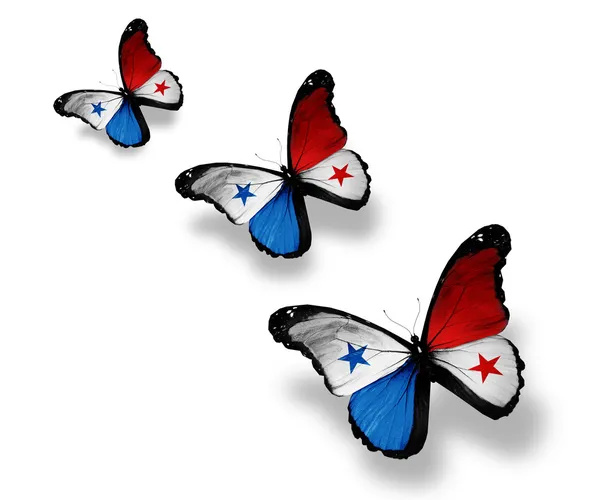 Τρεις σημαία του Παναμά πεταλούδες, που απομονώνονται σε λευκό — Φωτογραφία Αρχείου
