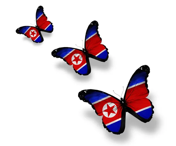 三个韩国国旗蝴蝶，孤立在白色 — 图库照片
