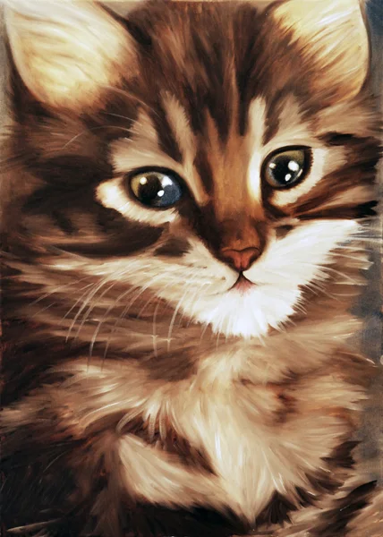 Ładny kotek — Zdjęcie stockowe