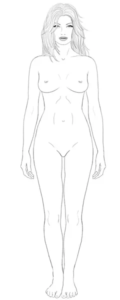 Женское тело IV Лицензионные Стоковые Фото