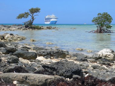 Bahama Adası yakınlarında yolcu gemisi