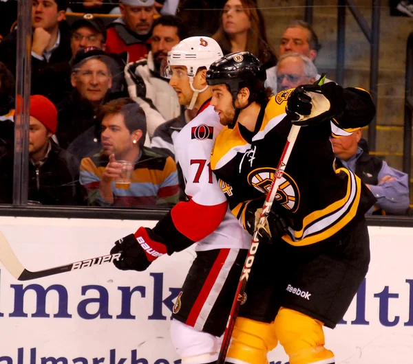 Adam McQuaid Boston Bruins Defenseman — Stock Photo, Image