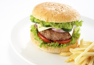 Burger and fries on white plate clipart