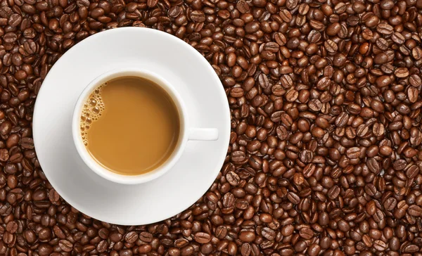 Grano de café y café — Foto de Stock
